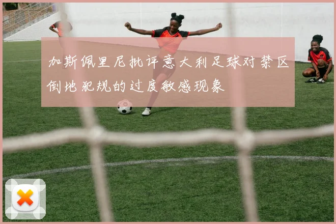 加斯佩里尼批评意大利足球对禁区倒地犯规的过度敏感现象