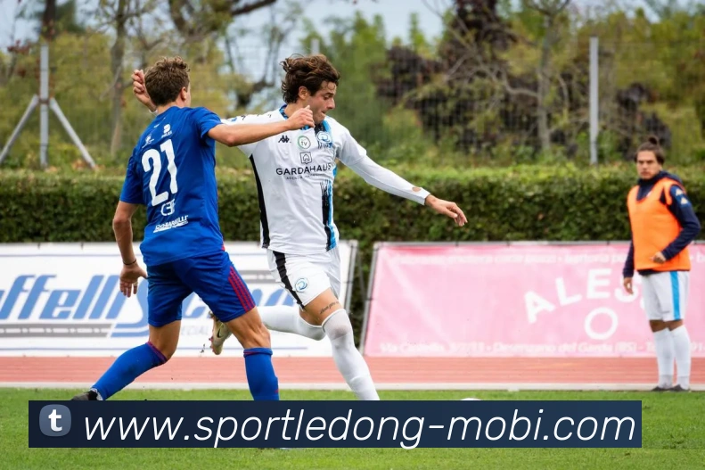 乐动体育发展历程